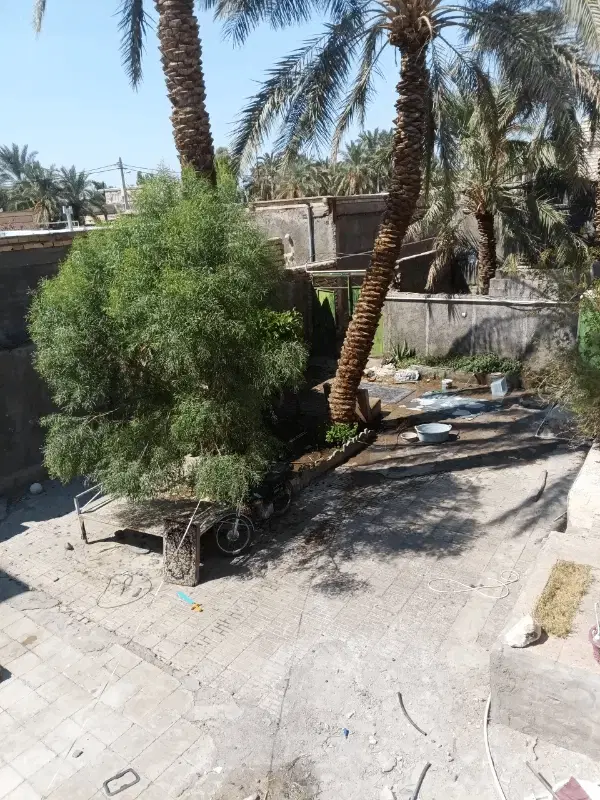 آپارتمان