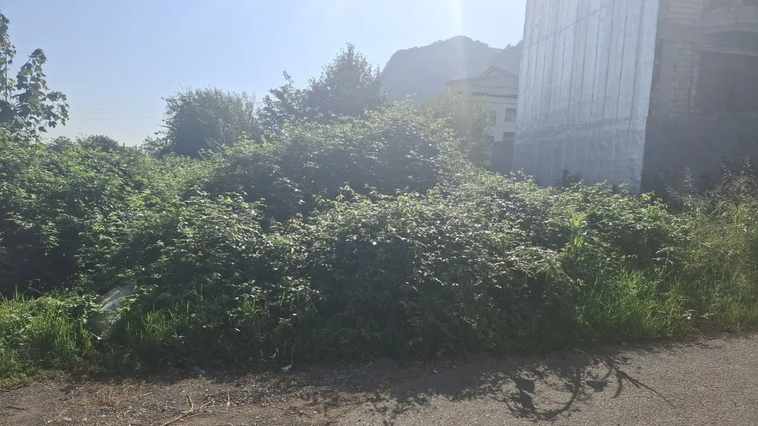 زمین با کاربری مسکونی خیابان شیخ زاهد