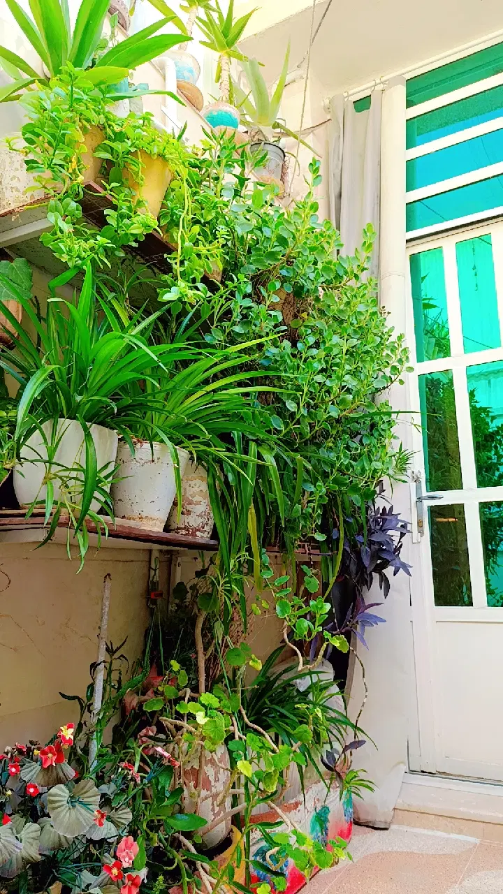 فروش منزل ویلایی