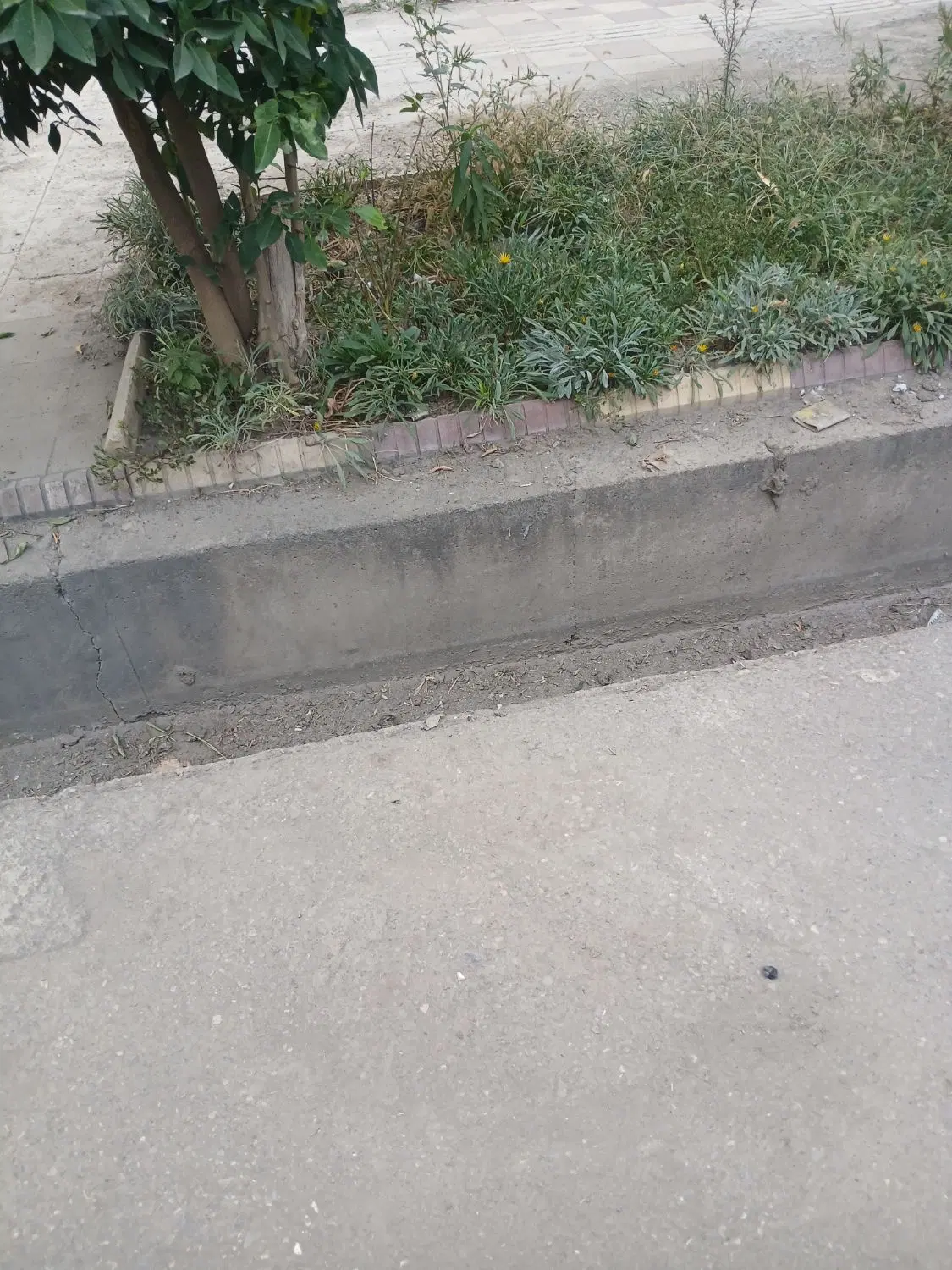 ۷۰۰متر زمین حیاطی لب جاده موقعیت مناسب