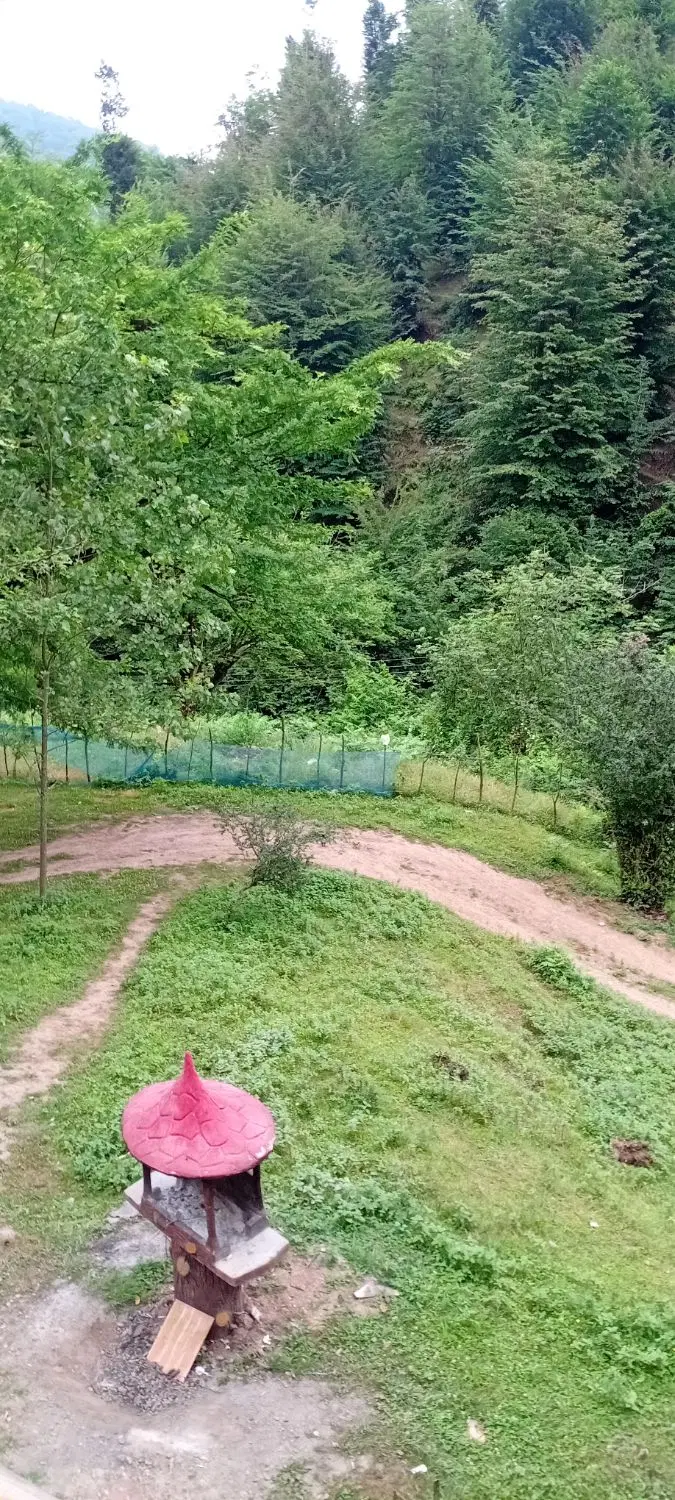 اجاره کلبه سویسی