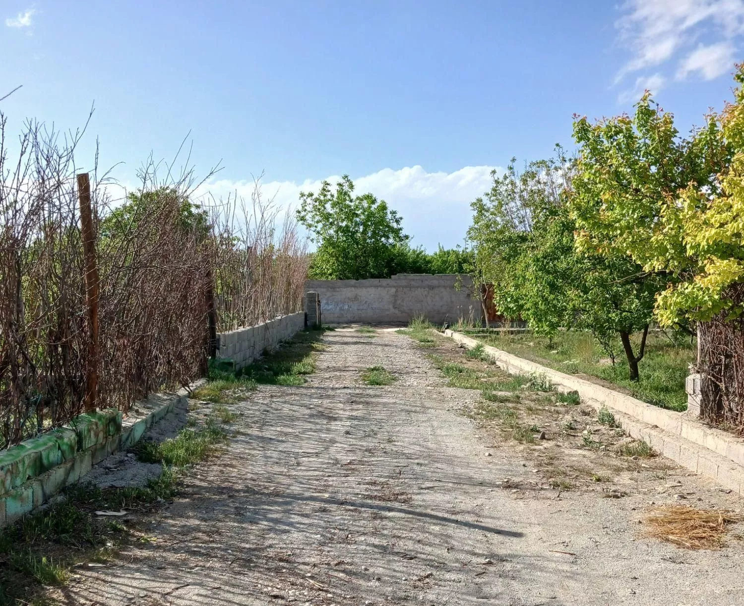 باغچه ۳۰۰ متری قجراباد(بکه) فوری