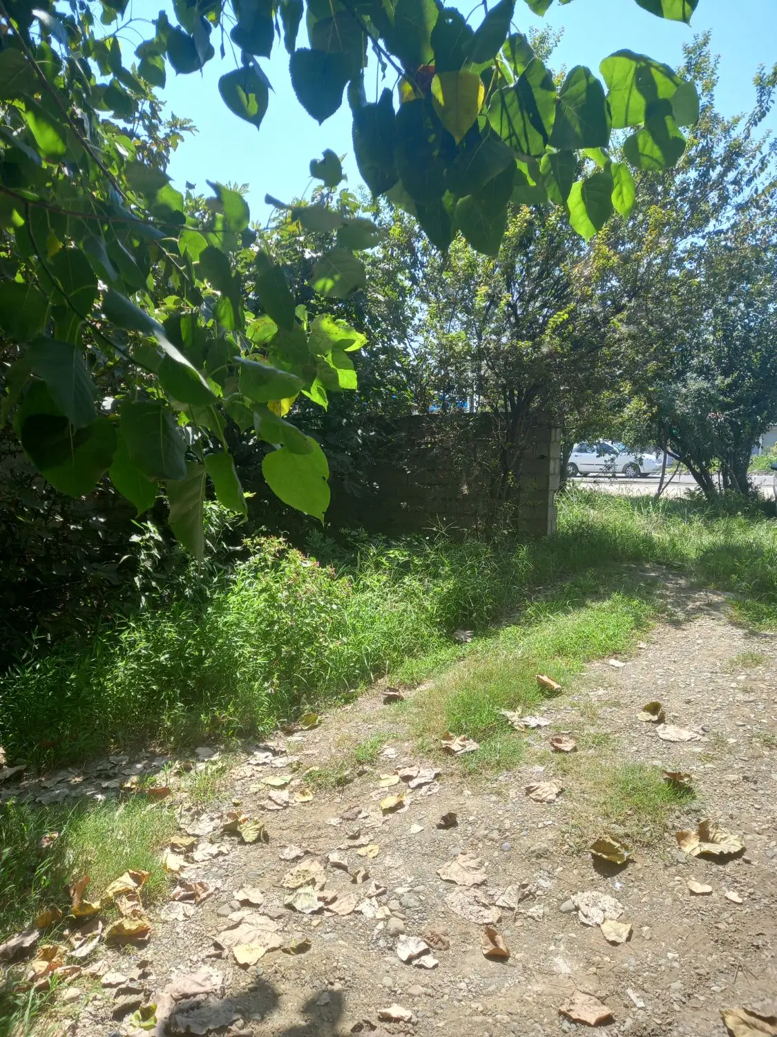 زمین دو بحر و بحر اصلی جاده فومن با جواز ساخت
