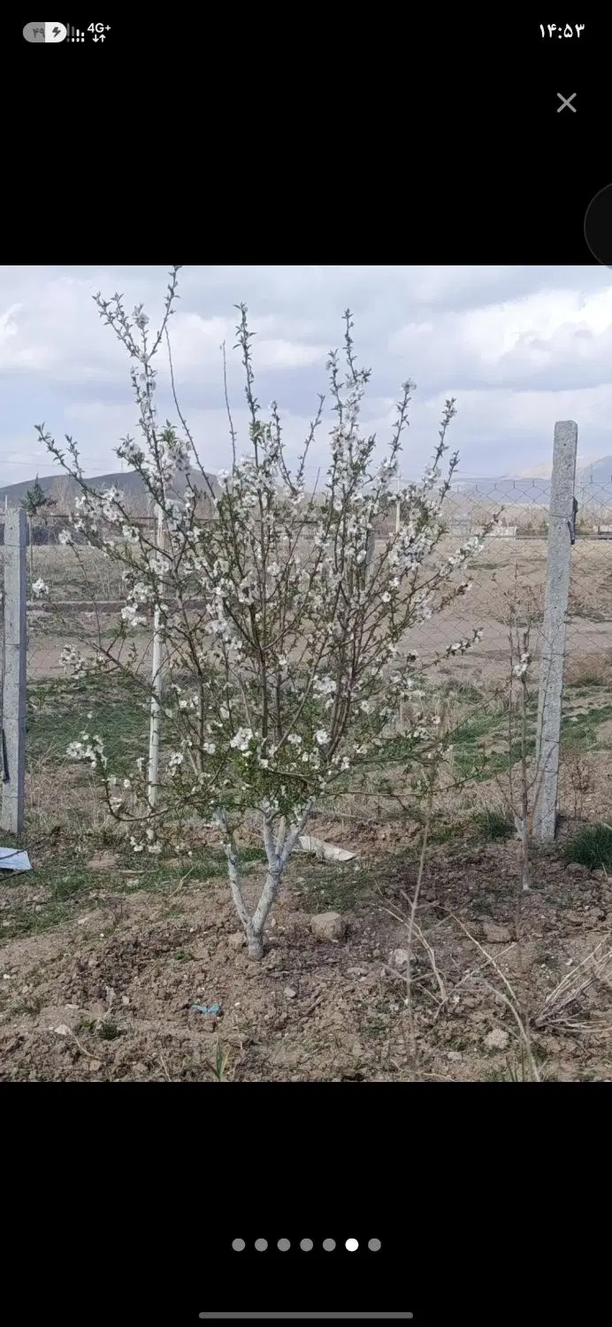 یک قطعه زمین