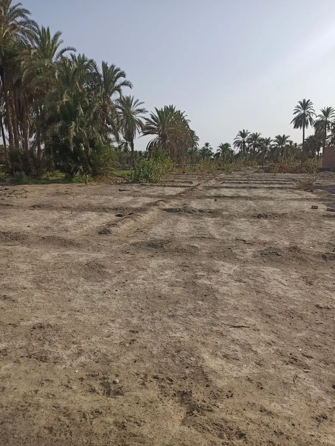 زمین فروشی در شهدراز خیابان حافظ ۱۳