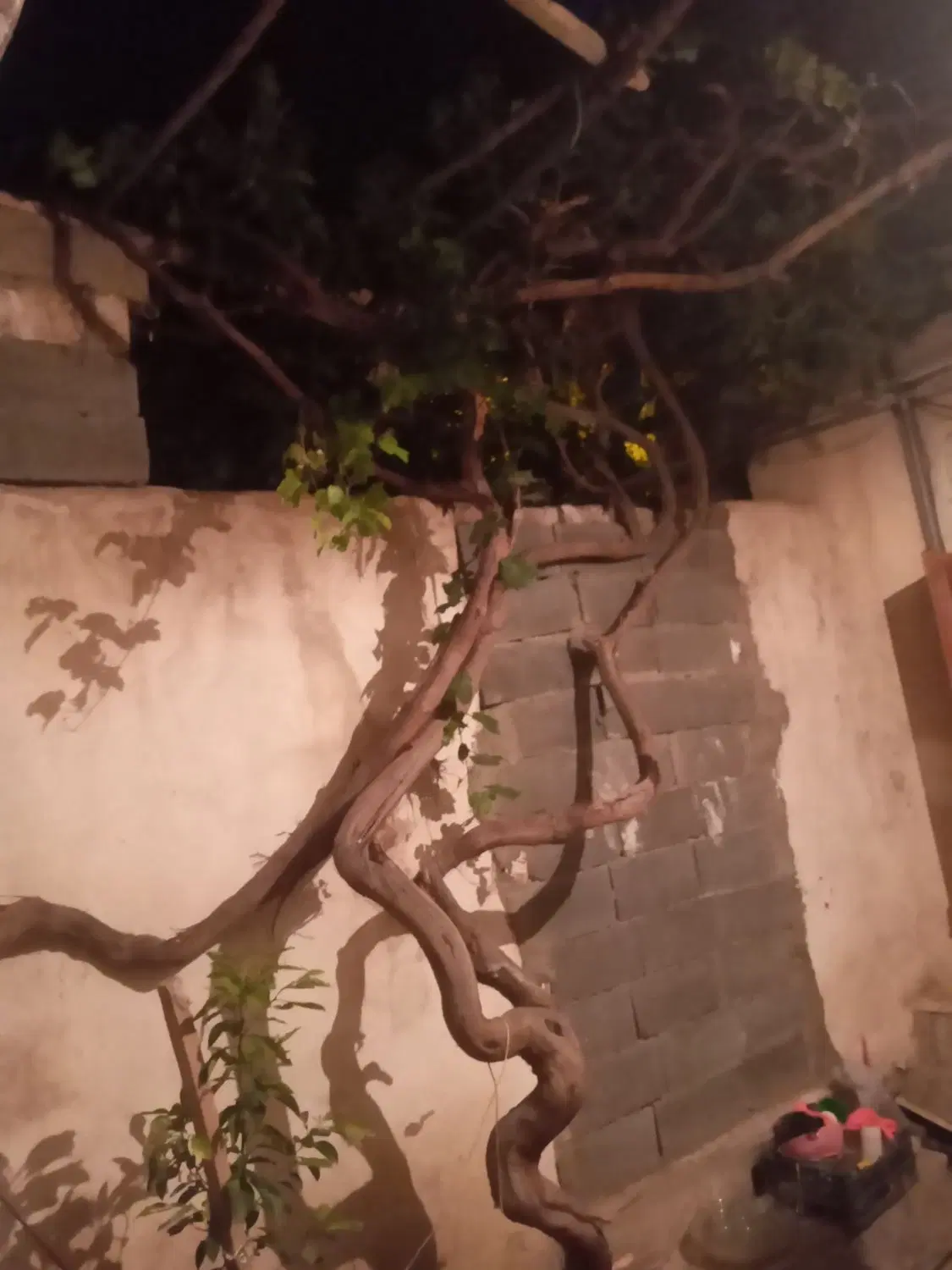 خانه ویلایی اجاره