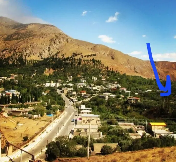 باغ زیتون