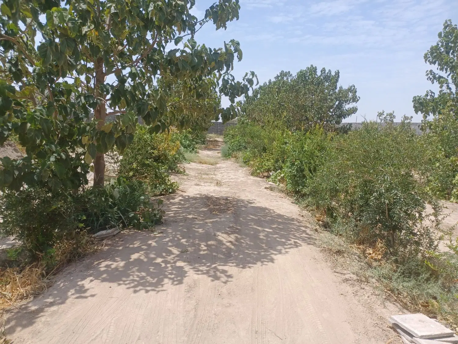 باغچه ی فروشی