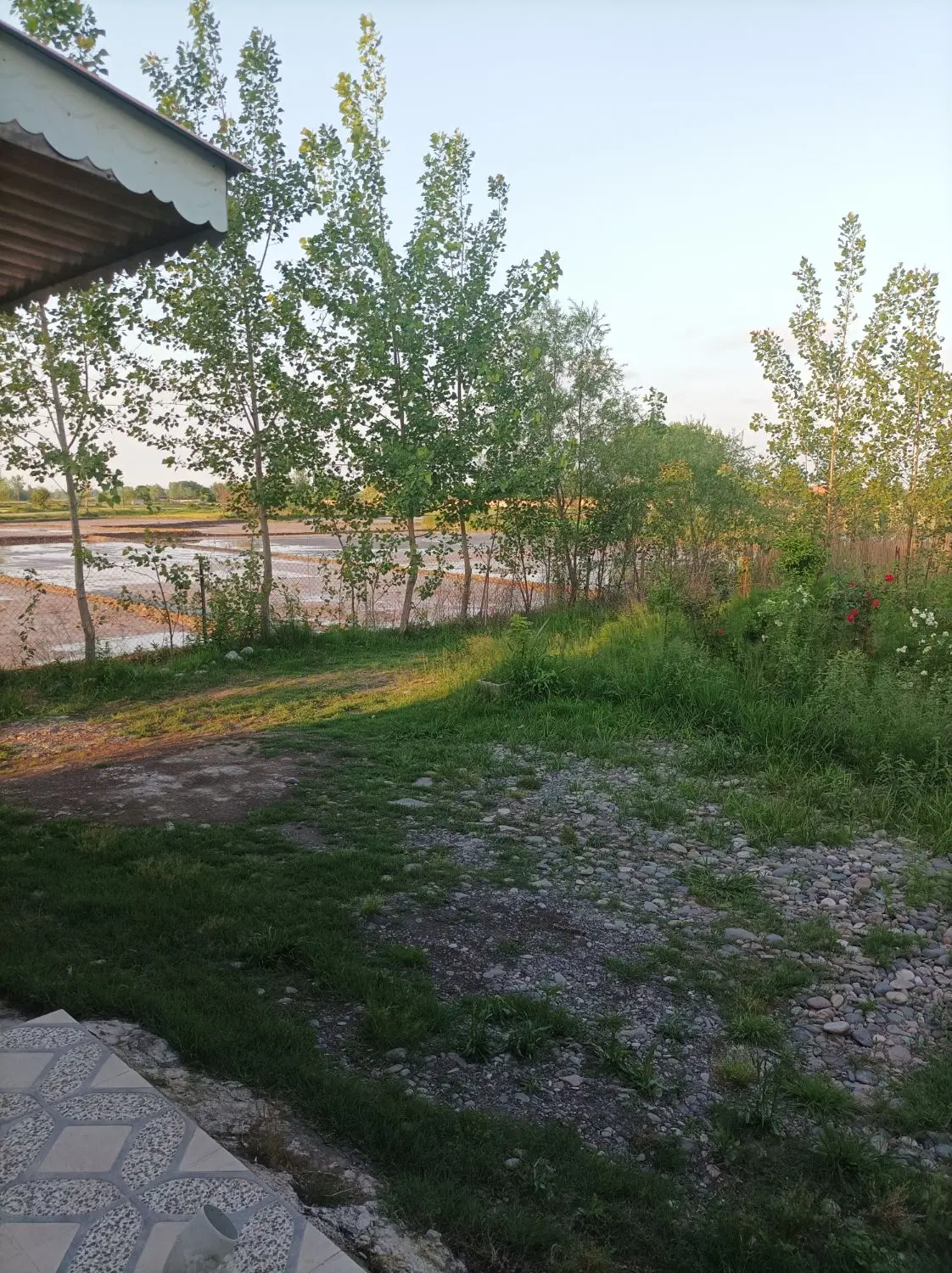 سوییت  اجاره ای