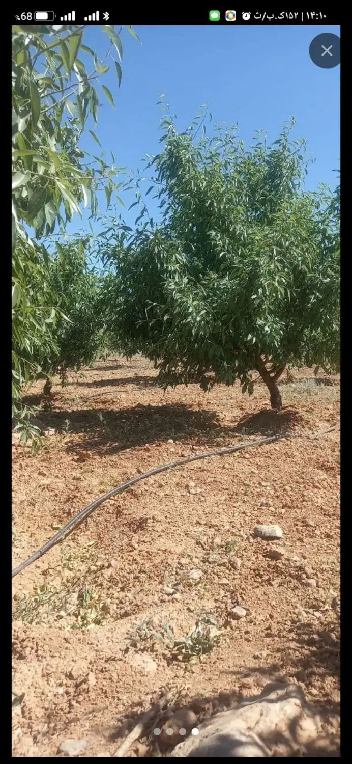 باغ ۲۵۰۰ متری ،بیستون ،روستای زیبای کاشانتو