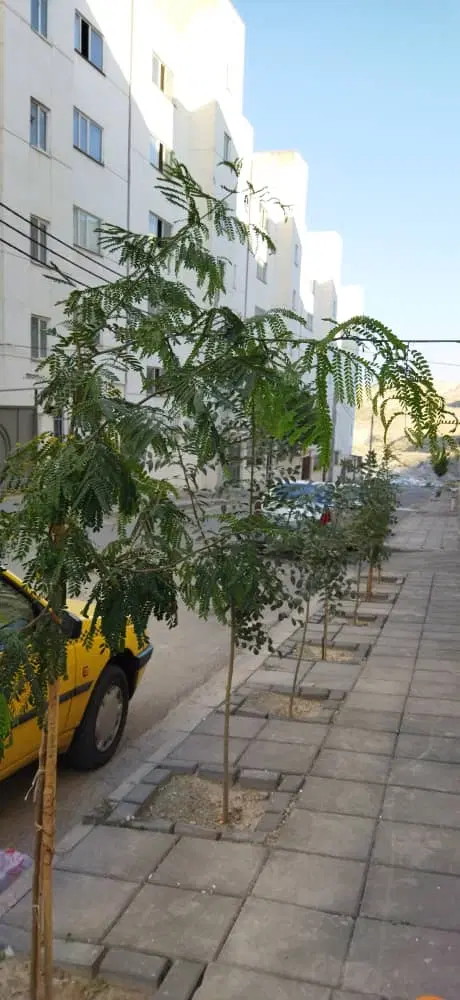 فاز 8 پردیس 5طبقه 2واحدی