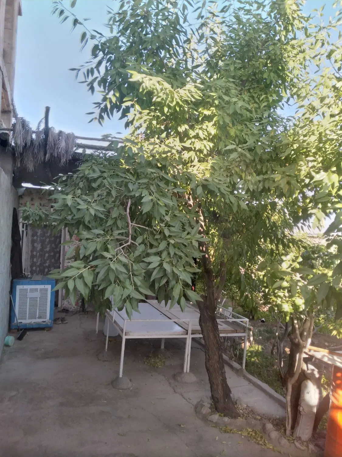 خانه باغچه فخراباد۲۰ قصب