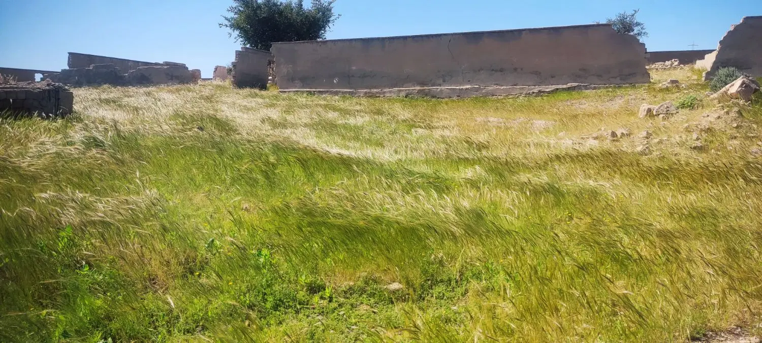 زمین 180متر جدیده