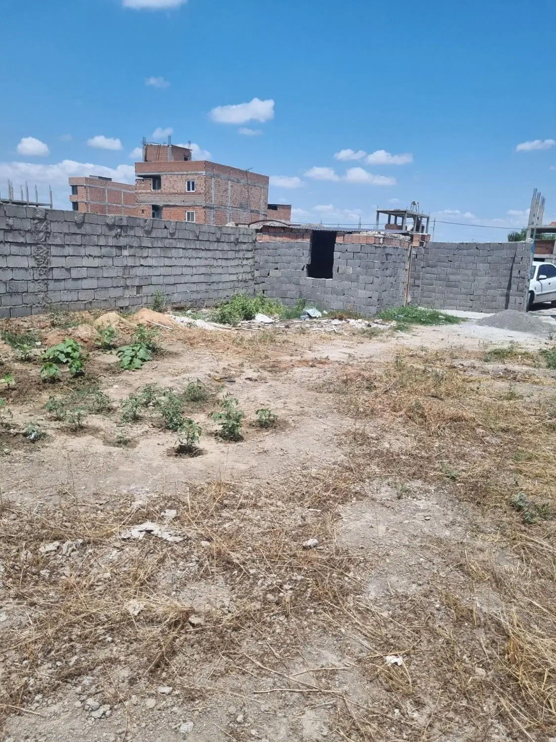 زمین ۲۲۰ متری