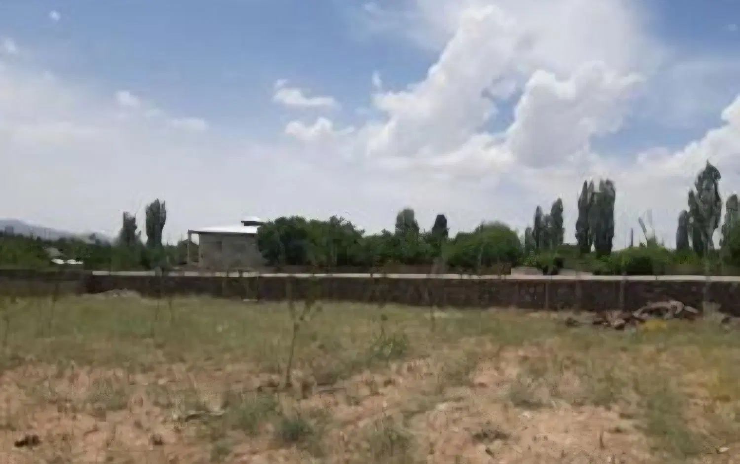 زمین کشاورزی باغی