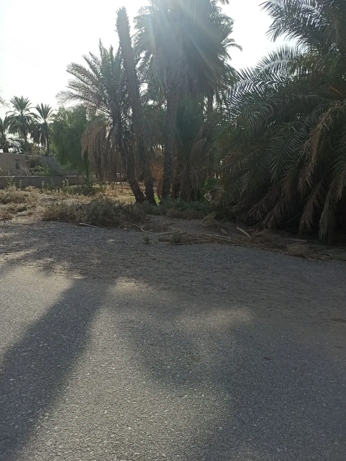 زمین در شهدراز خیابان مولوی بین مولوی ۱۴و ۱۶