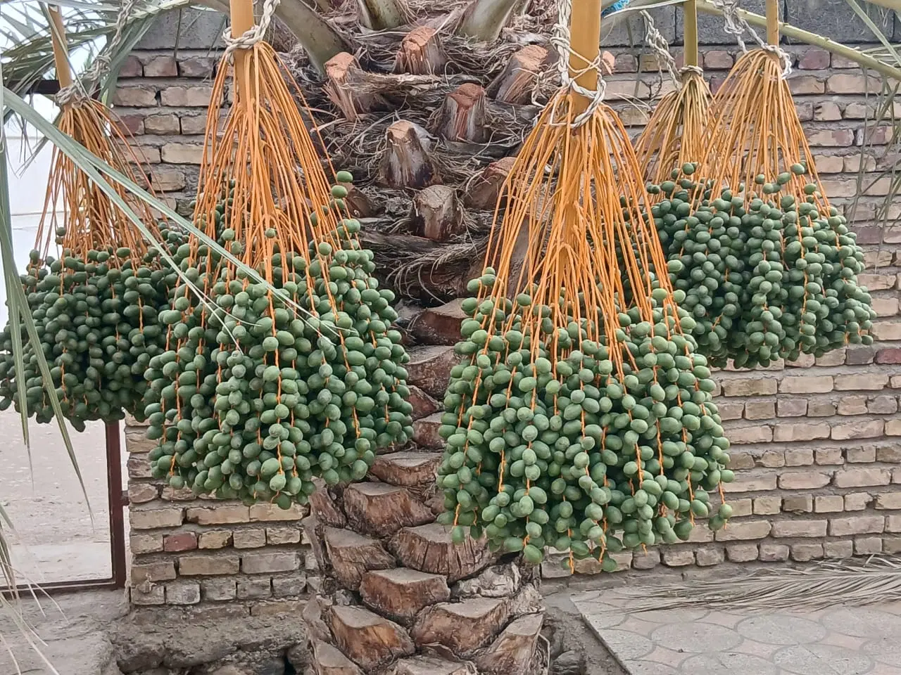 موتور آب کشاورزی کامل