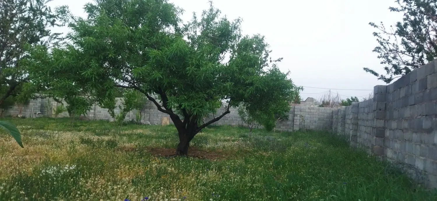 باغ ۶۵۰متری منطقه گردشگری سیاسرد