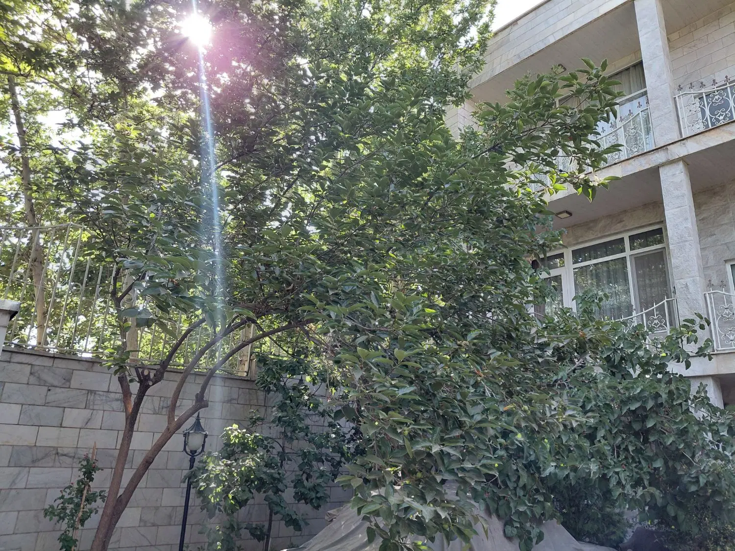 سه طبقه مسکونی