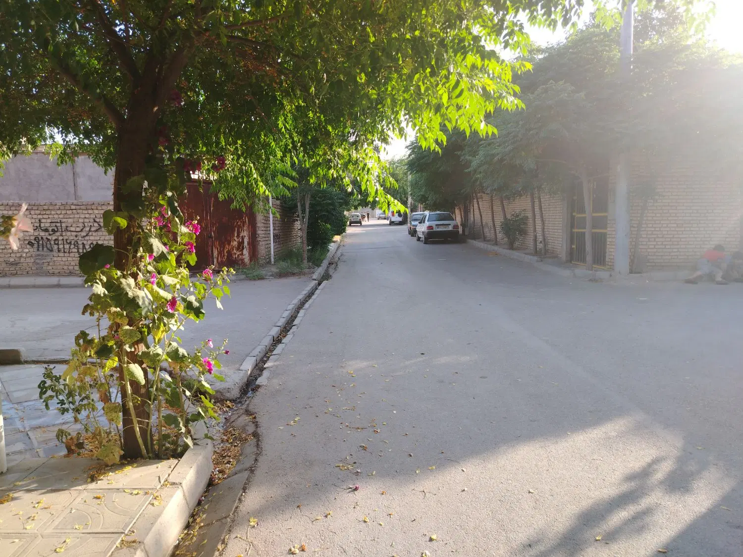 فروش یا معاوضه