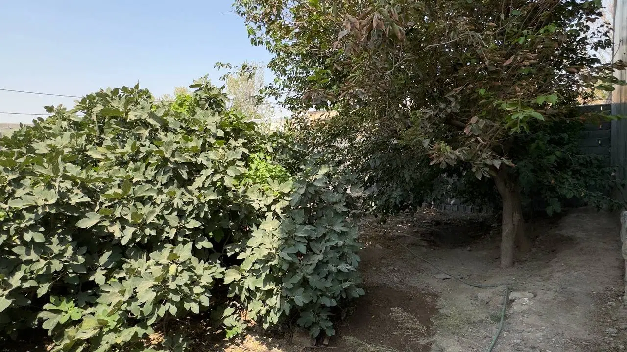 فروش ۲۱۱ زمین مسکونی و تجاری