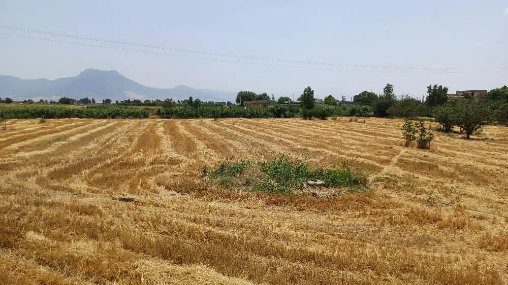 خانه باغ