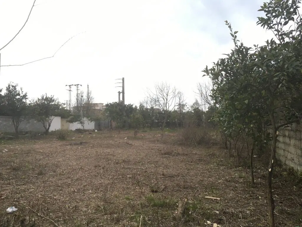 ۱۳۱۶ متر زمین در شیرود