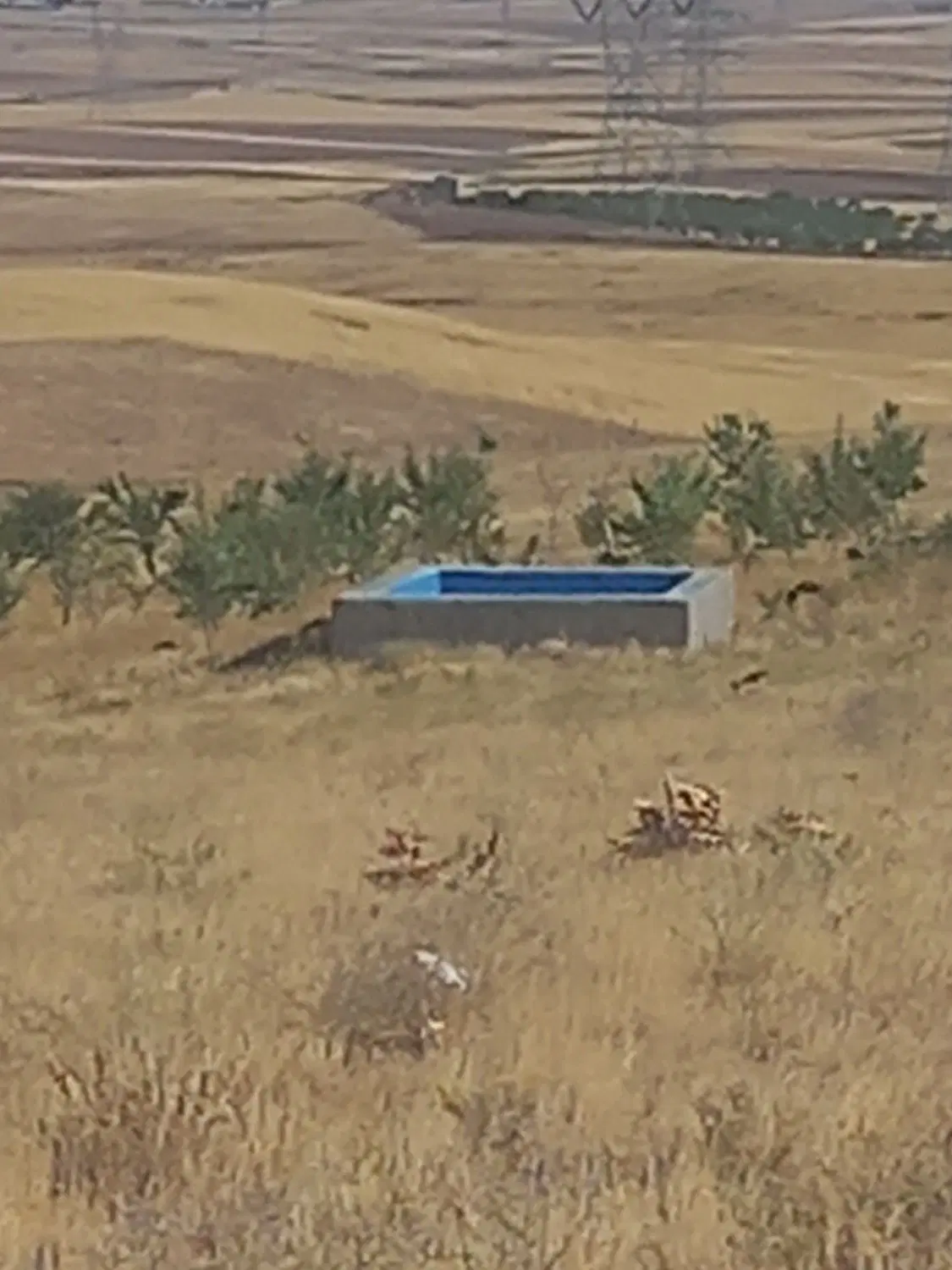 زمین کشاورزی در کوگیر