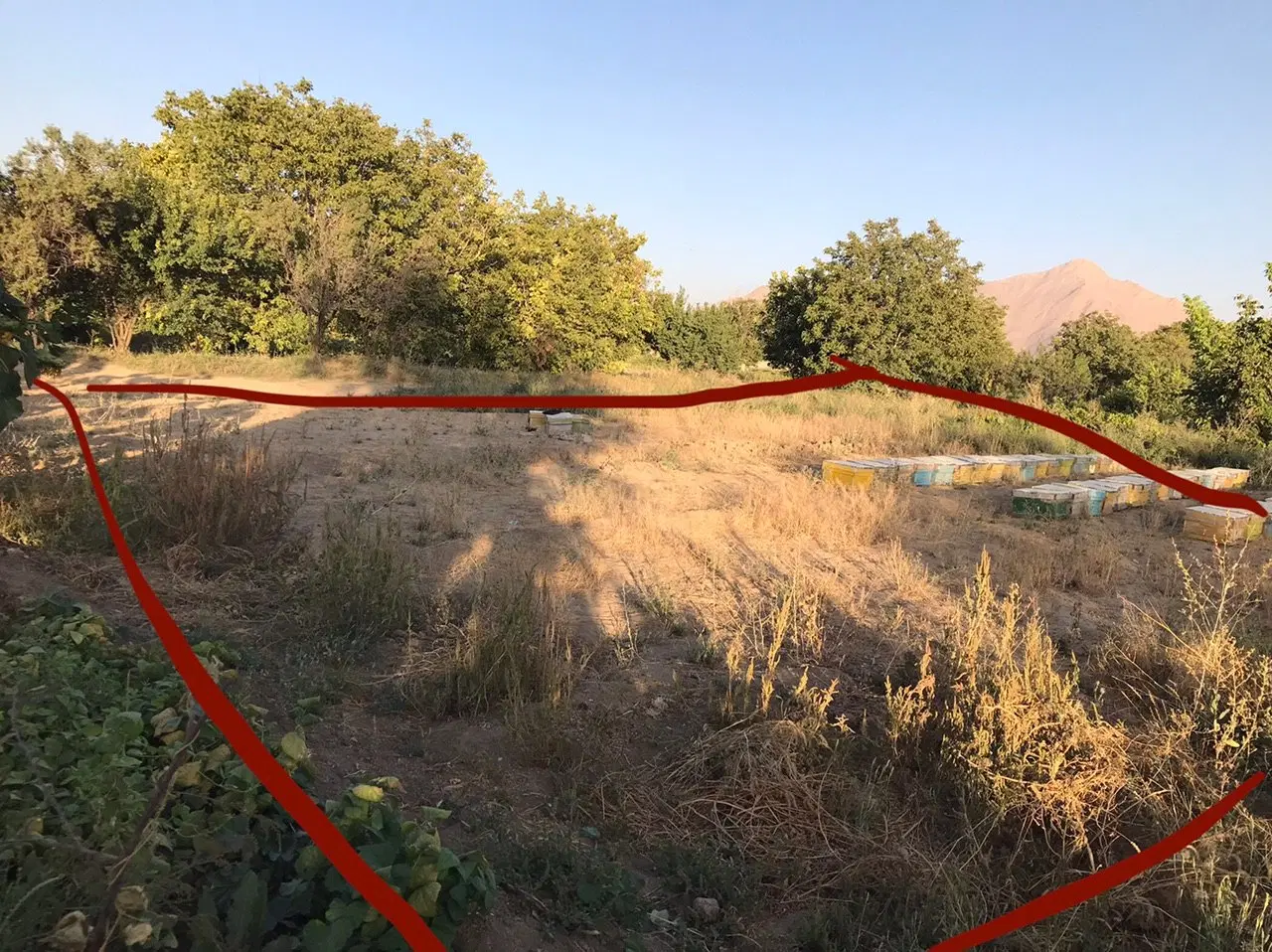 زمین کشاورزی ملک نیمه کاره
