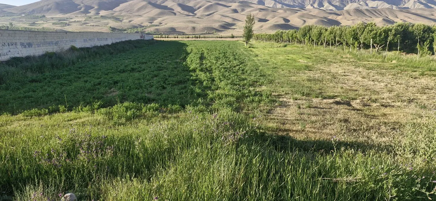 ۸۰۰۰ متر بر جاده تهران  فیروزکوه