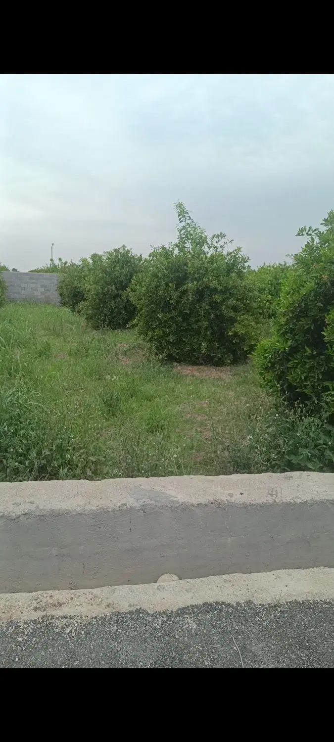 باغچه