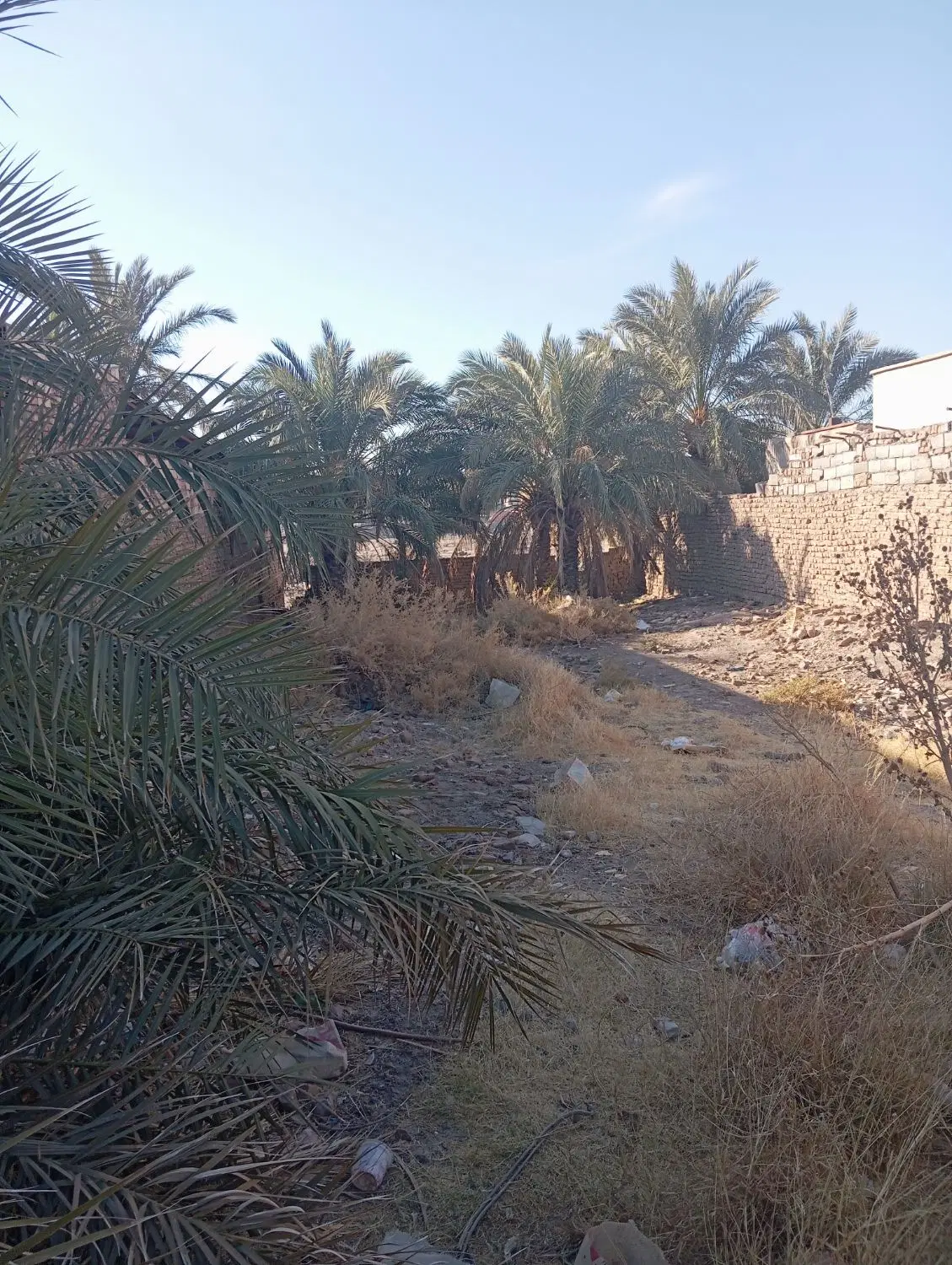بم زمین فروشی