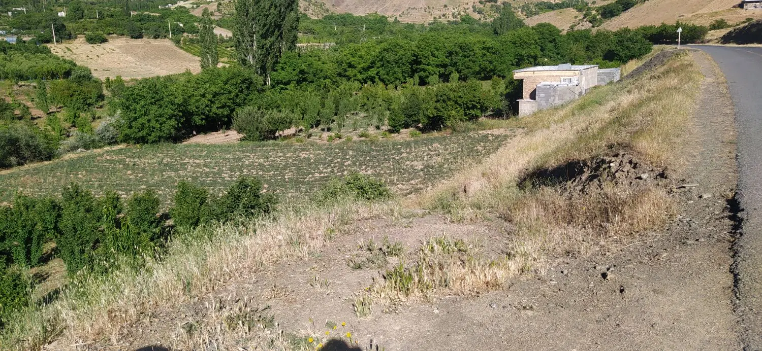 زمین کشاورزی