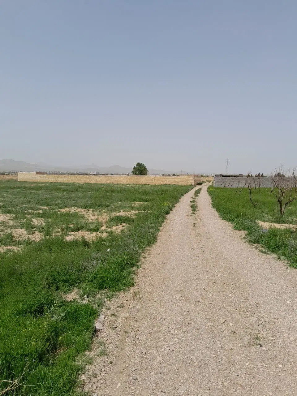 فروش زمین در تاکستان ب متراژ ۲۵۰دوکله