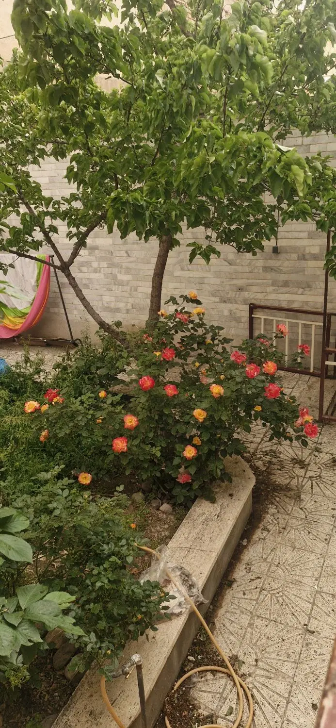ویلایی ۲واحده جنوبی  مرکز شهر  خ شهدا