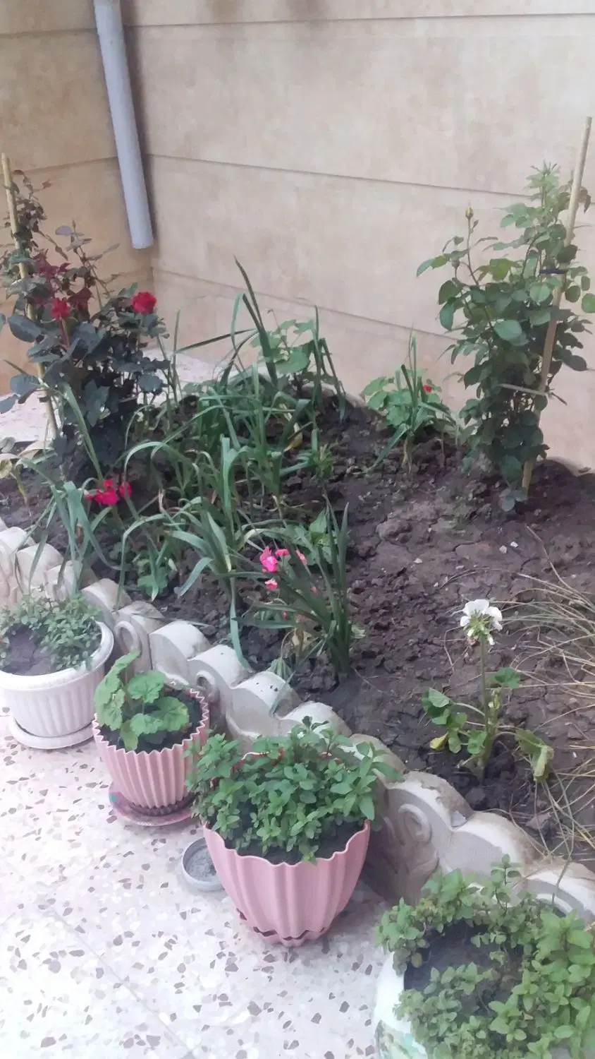 خانه اجاره ای