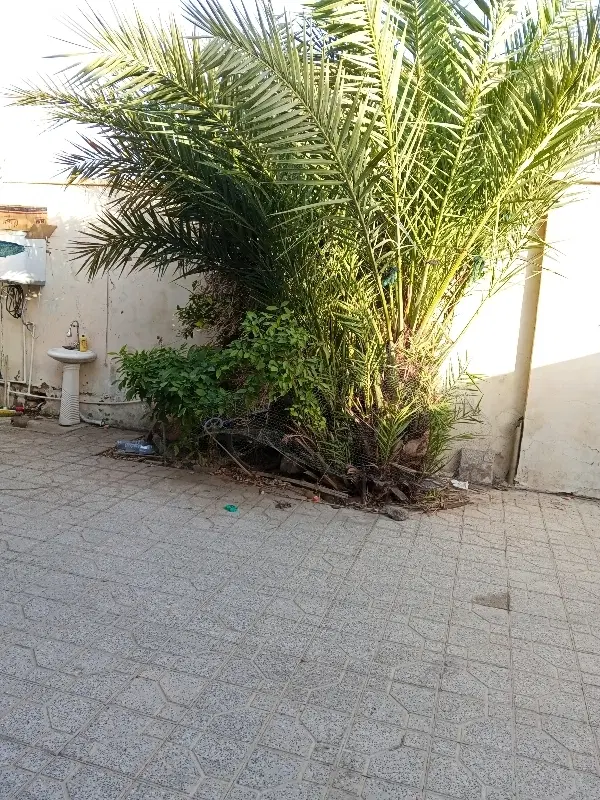 اجاره سوییت شبانه روزی حاجی آباد