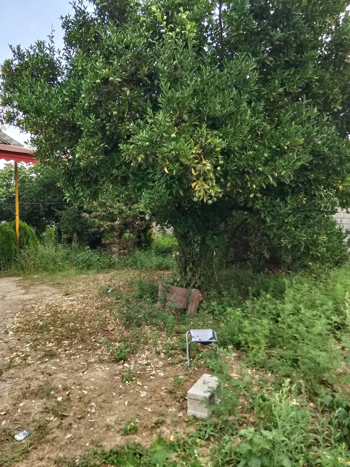 ویا 420 متری سند دار