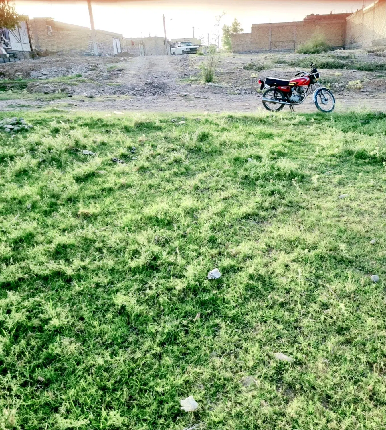 زمین چمگلک پانزده و نیم هکتاری