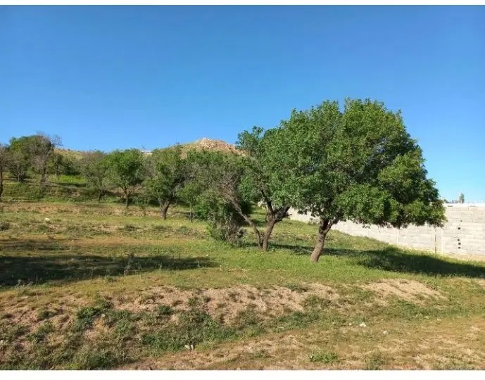 زمین تجاری مسکونی درباغ عمران