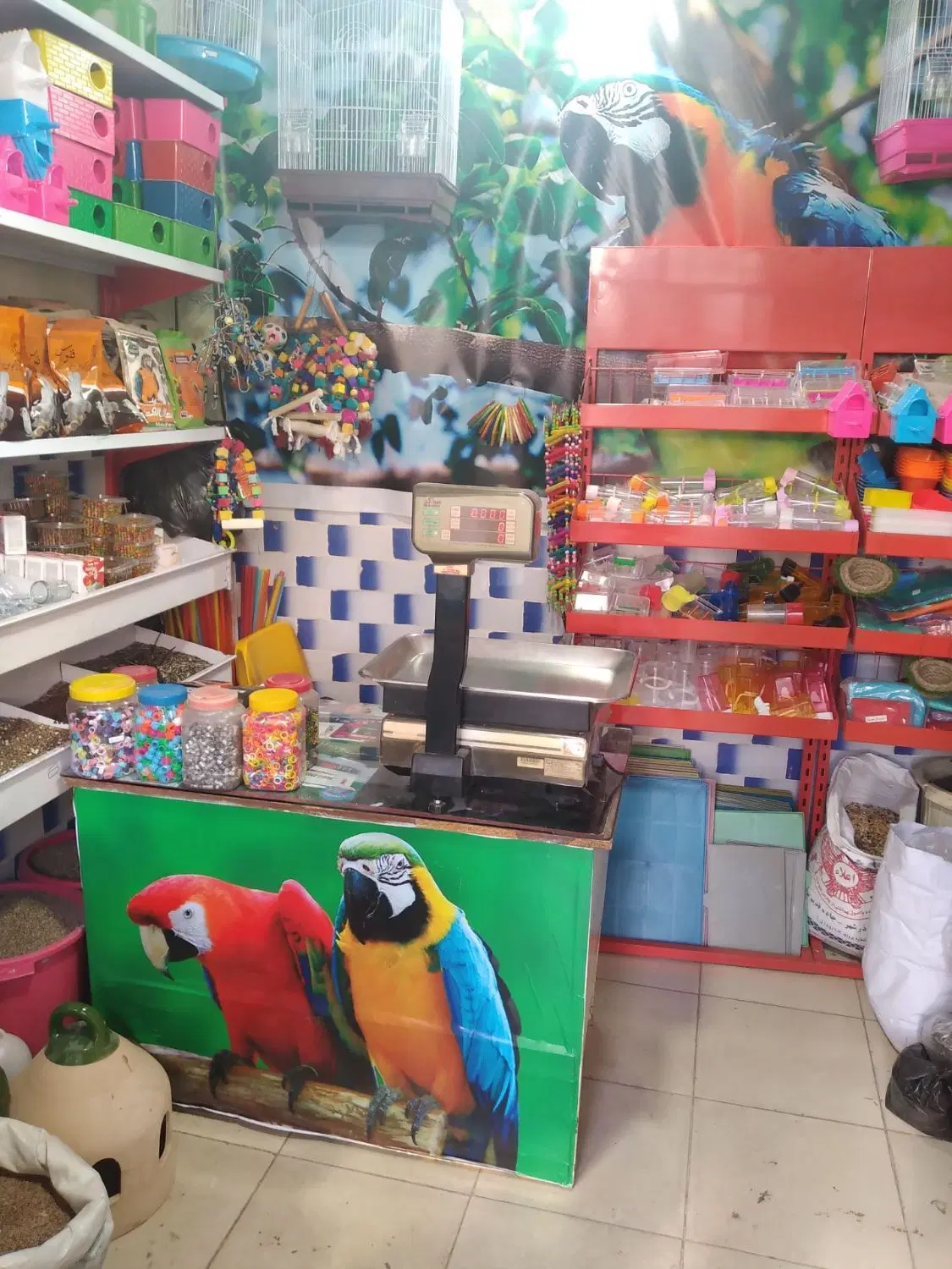 فروش سر قفلی