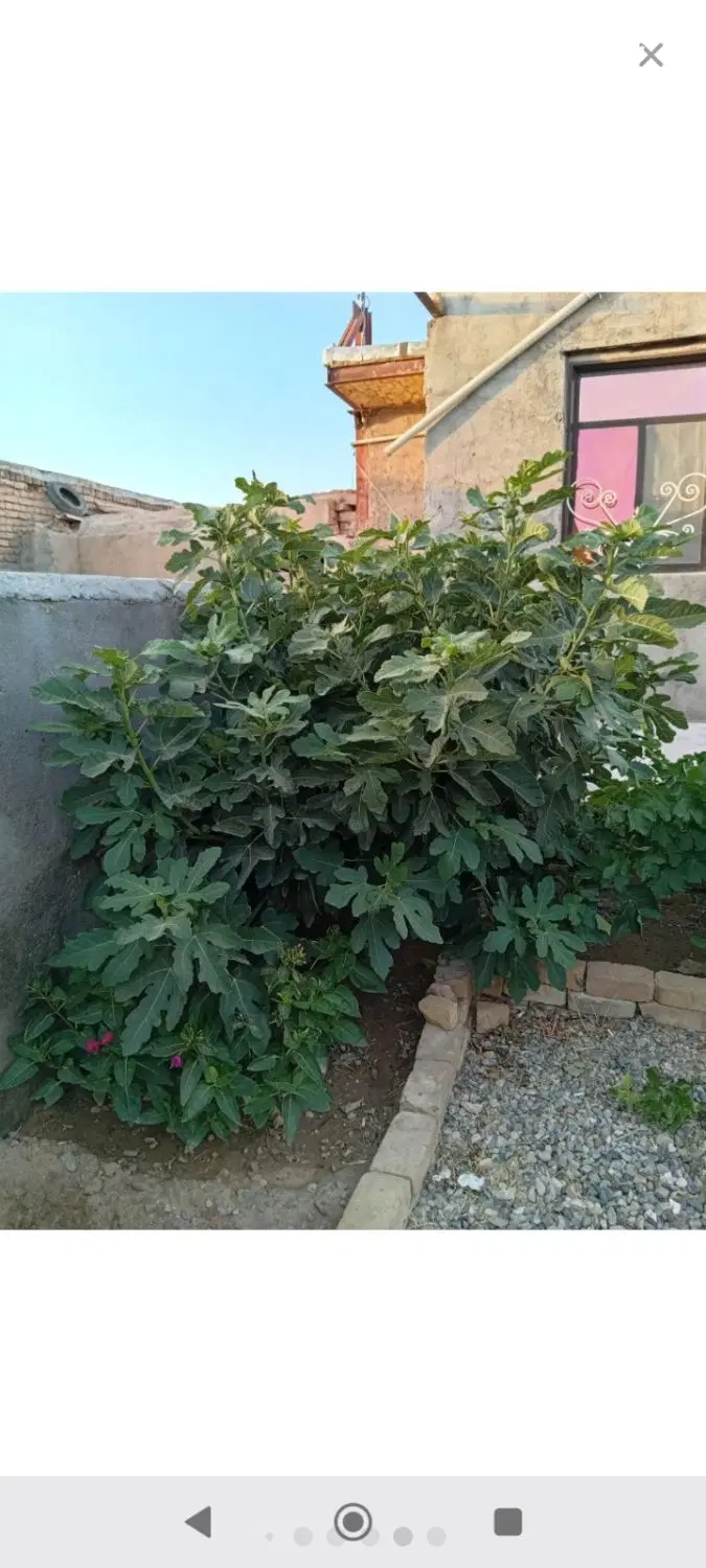 خانه ویلایی