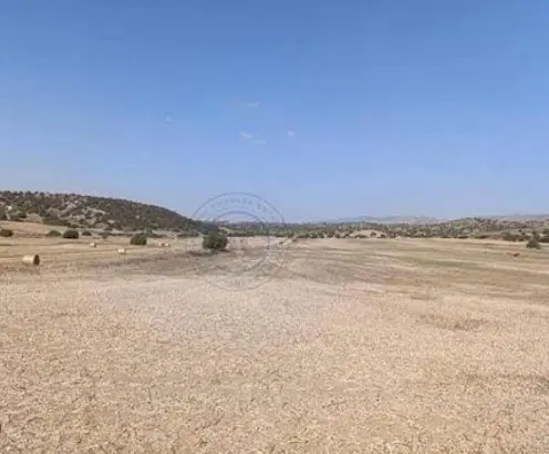 فروش زمین مناسب سوله و مسکونی