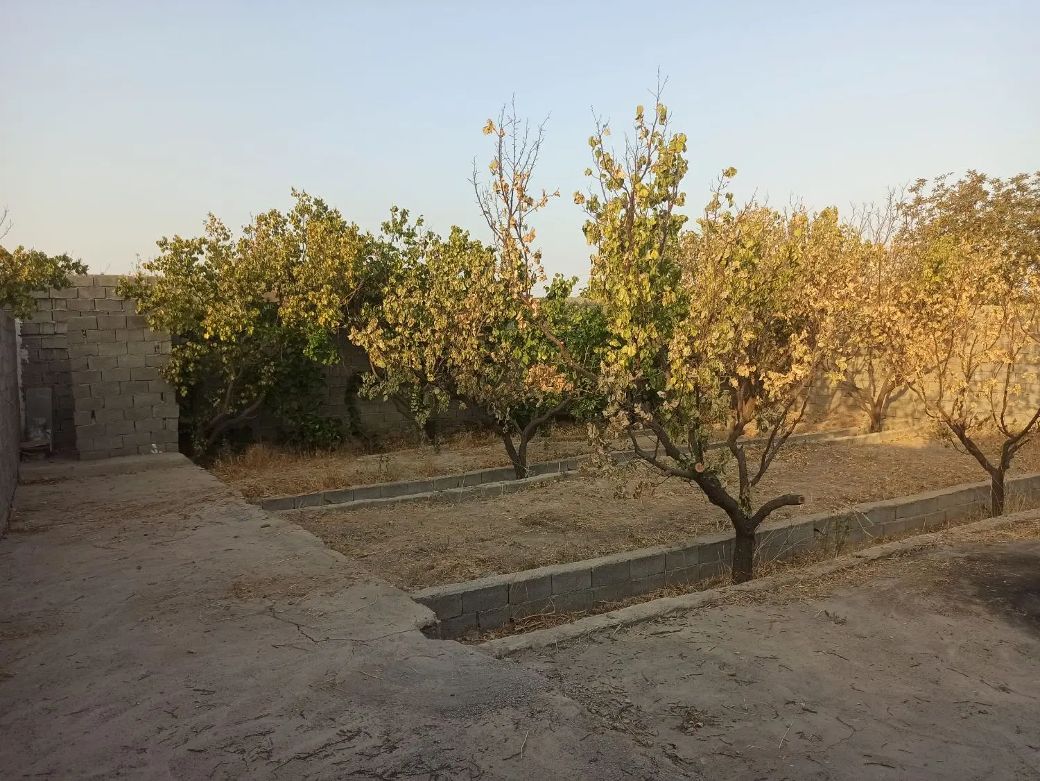 باغچه250متری