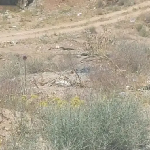 زمین کوره ها تا اتوبوسرانی