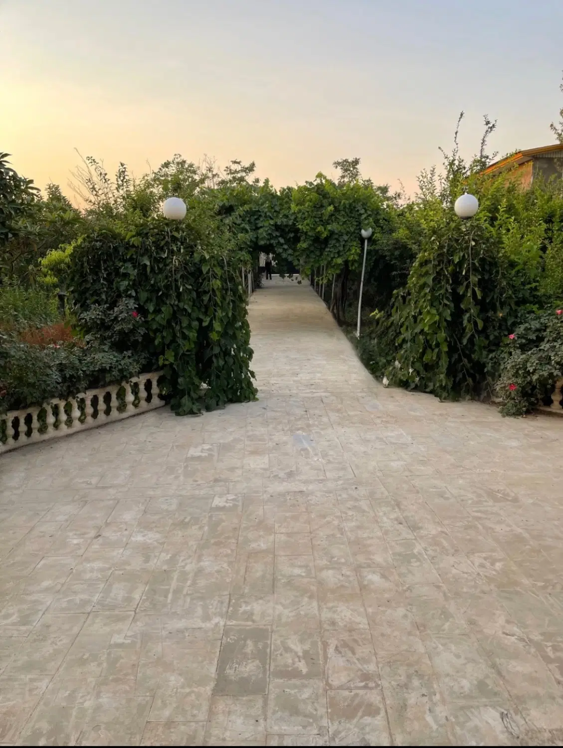 باغ یوسف رضا (شعیب آباد)