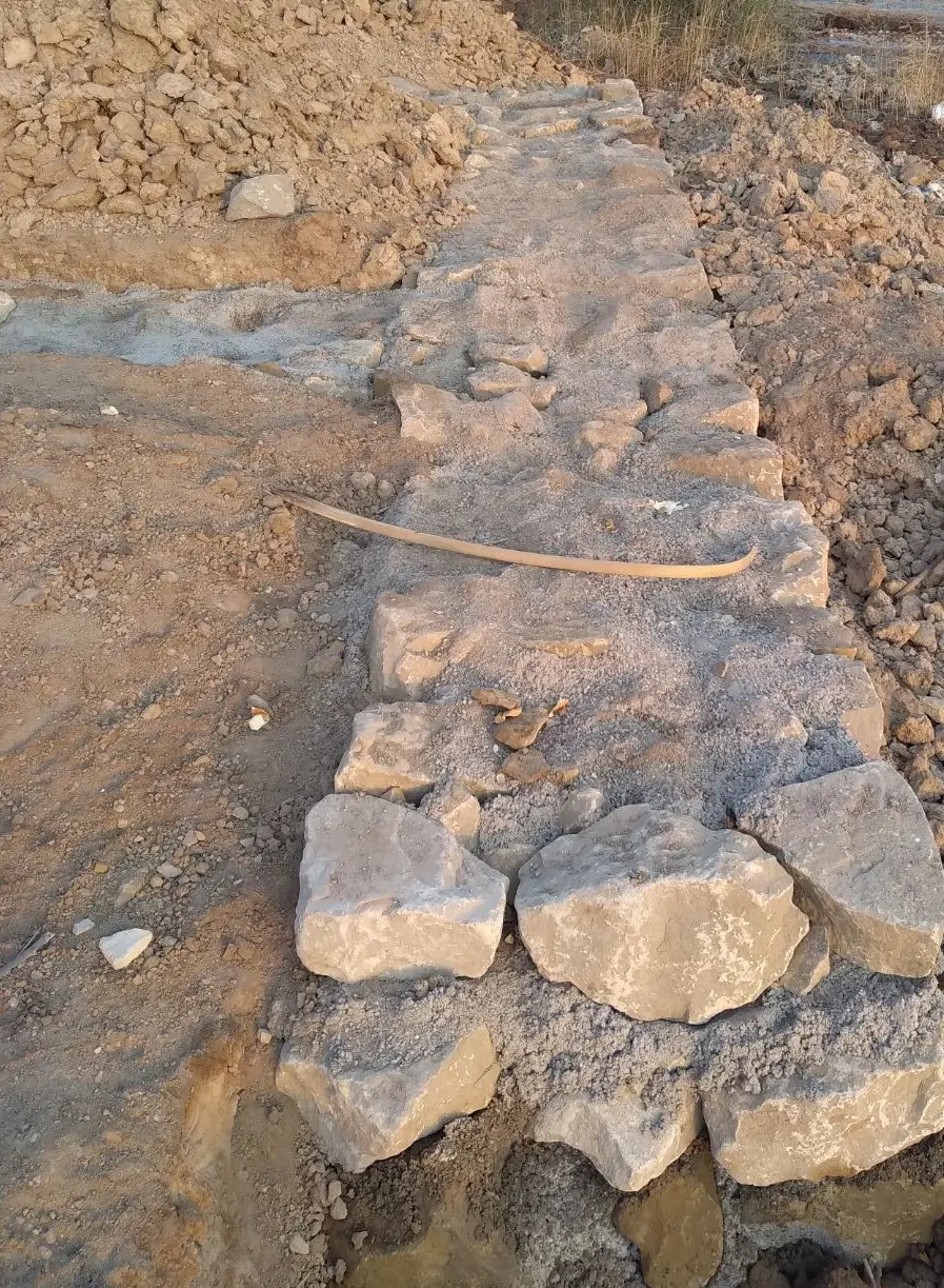 منیوحی ابودیره