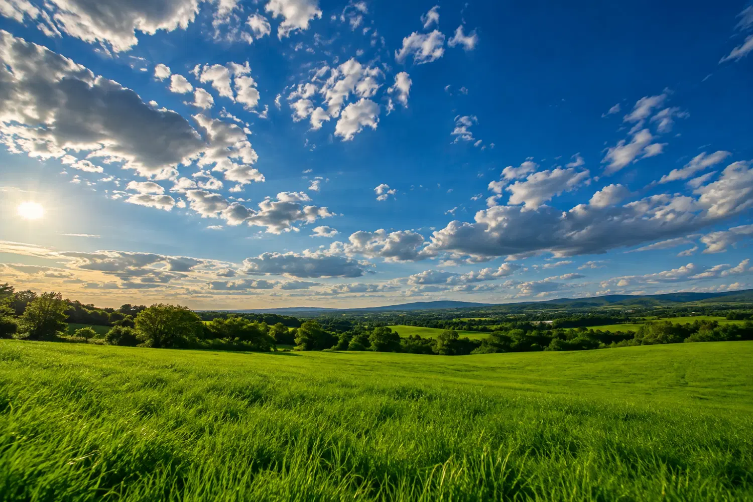 زمین خوش قواره مولوی پورحیم