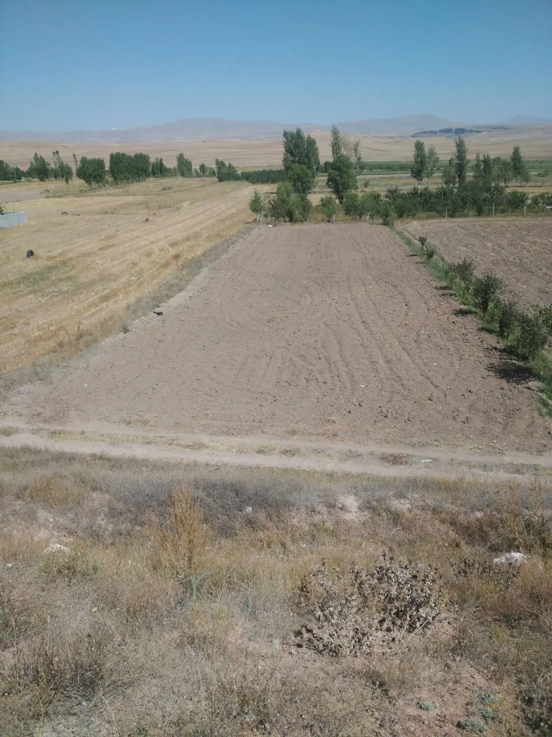 زمین باغی در مکانی دنج