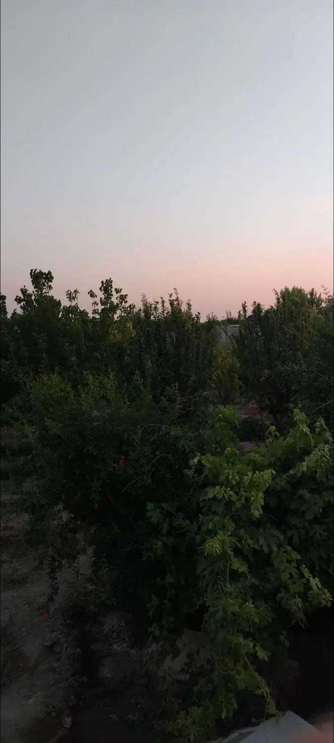 باغ